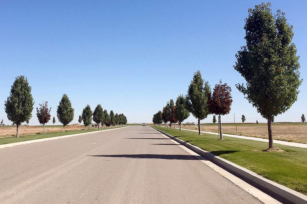 Lane leading to available lots at Crossroads Point in Jerome, ID